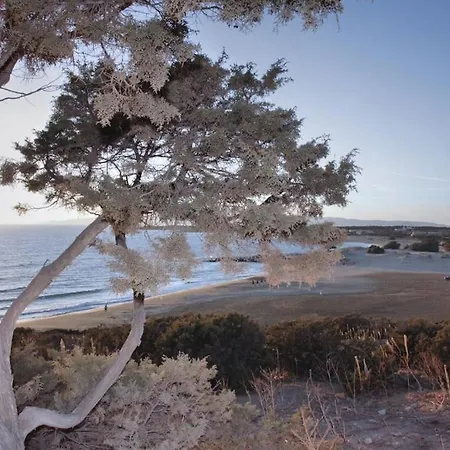 Junior Paradise! * Agiassos