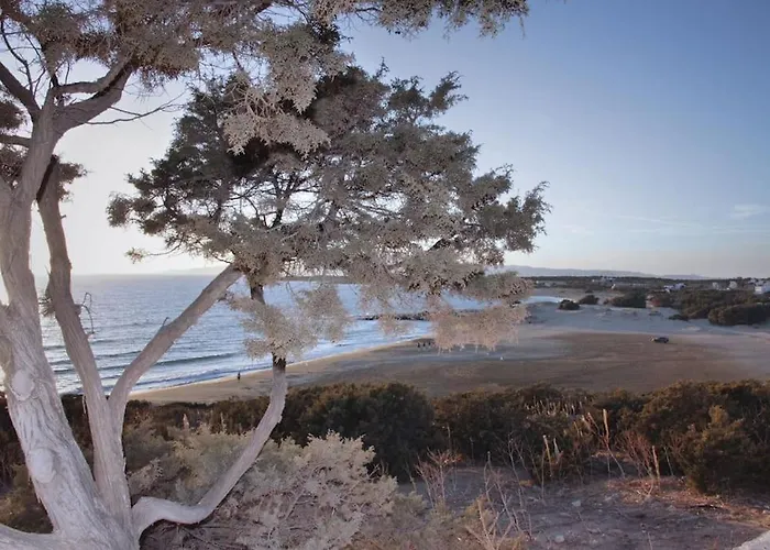 Junior Paradise! * Αγιασσός