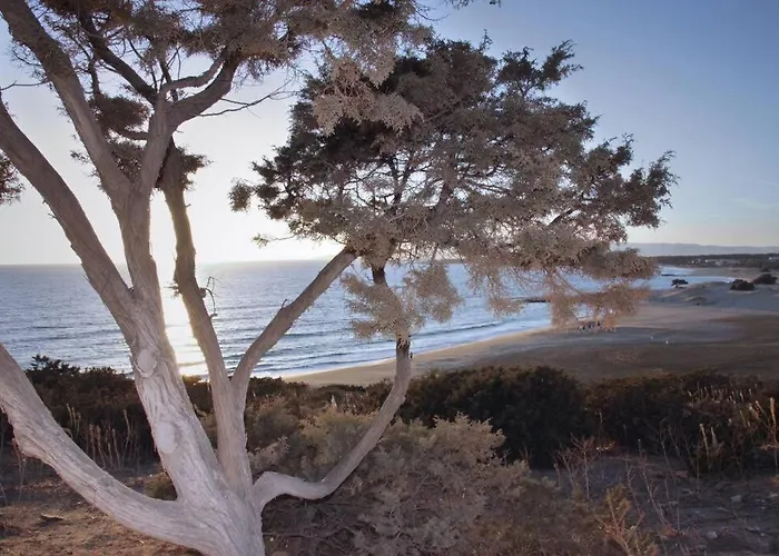 Junior Paradise! * Αγιασσός