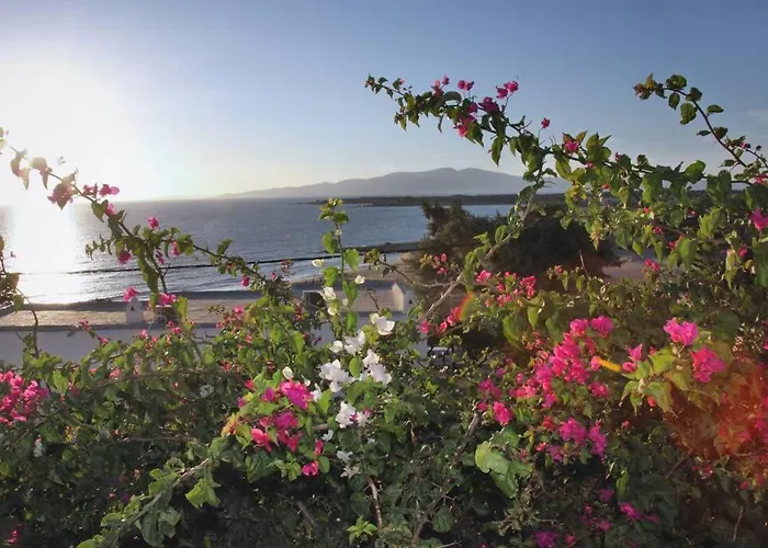 Διαμέρισμα Junior Paradise!